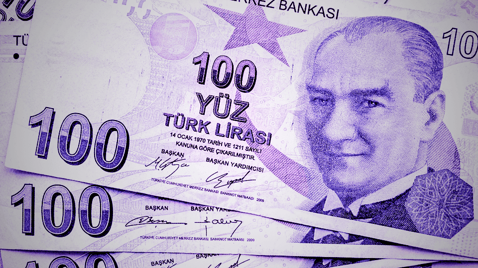 © Temsili Görsel: Türk Lirası - TL (100 TL Banknotlar)