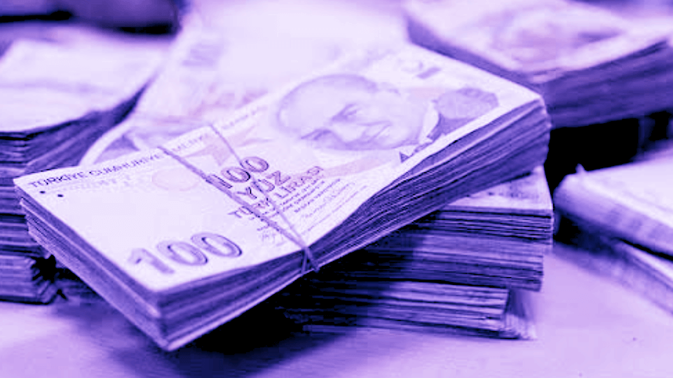 © Temsili Görsel: Türk Lirası - TL (100 TL Banknotlar)