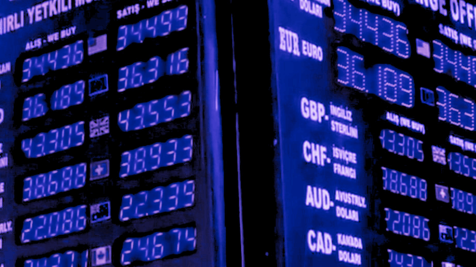 Döviz Kurları