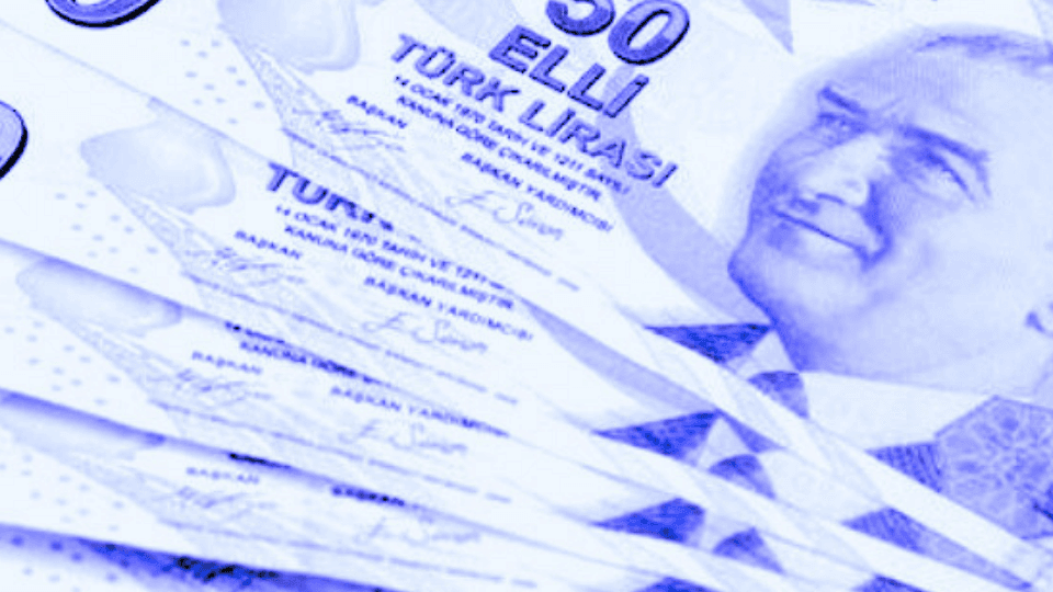 © Temsili Görsel: Türk Lirası - TL (50 TL Banknotlar)