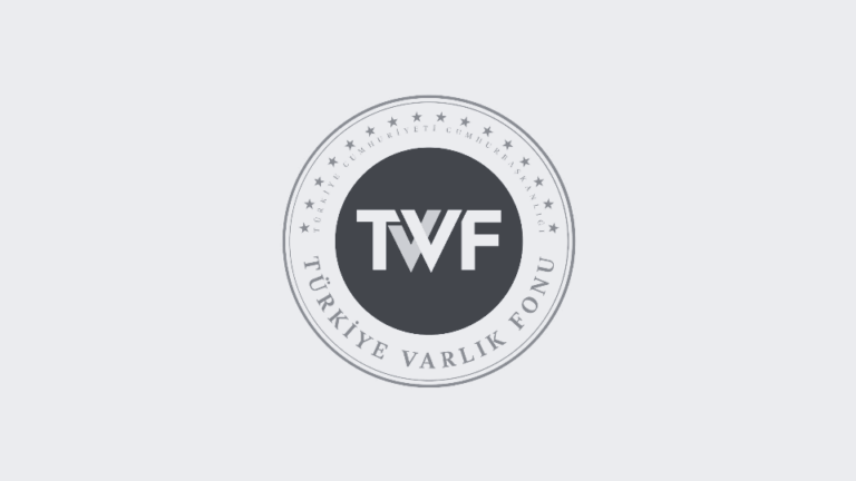 TVF, Türkiye Varlık Fonu