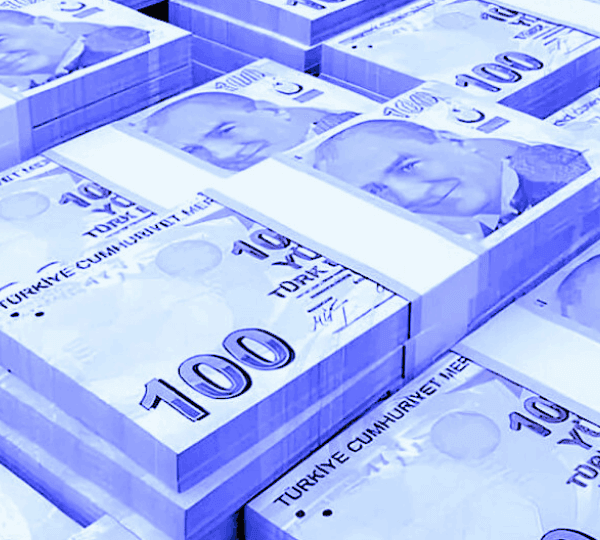 © Temsili Görsel: Türk Lirası - TL (100 TL Banknotlar)