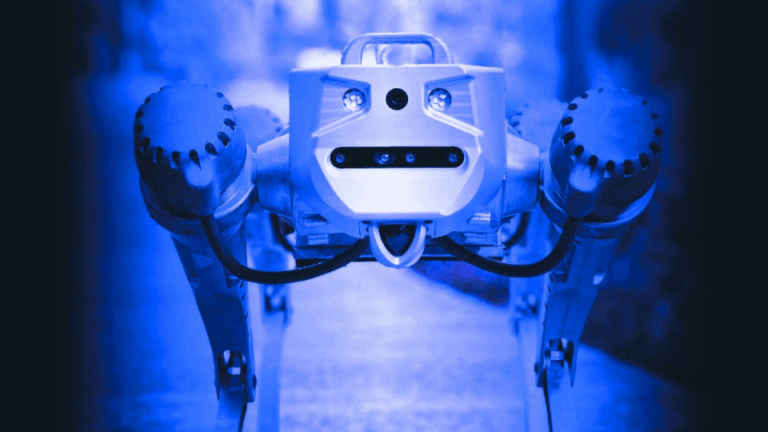 Hyperever, Proteo, robot köpek