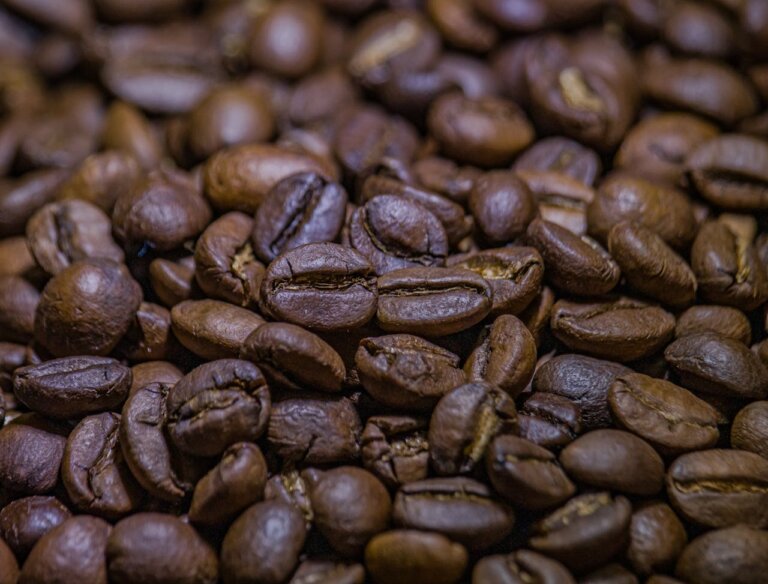 © Görsel: Emtia - Kakao